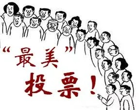 我要投票候选人如何选择？-第2张图片-www.211178.com_果博福布斯